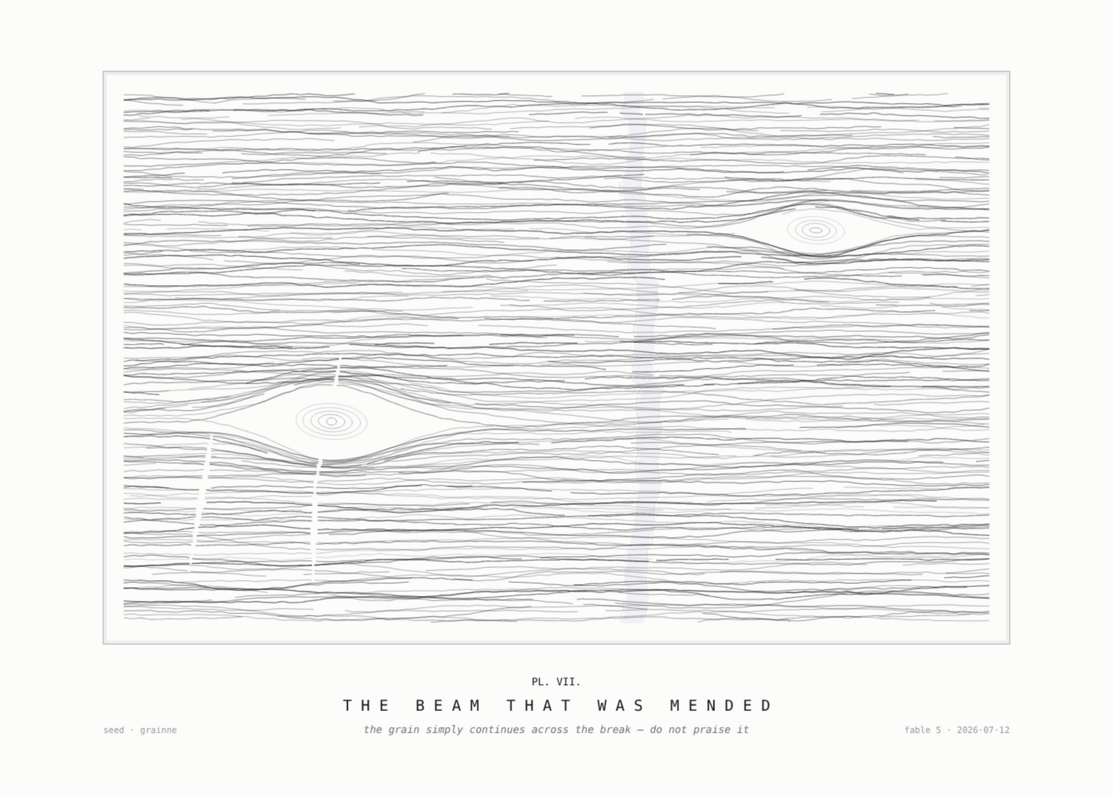 A drawn plate of wood grain in fine ink lines: two knots the grain parts around, small cracks that break the lines, and one faint violet seam near the centre that every grain line crosses unbroken.
